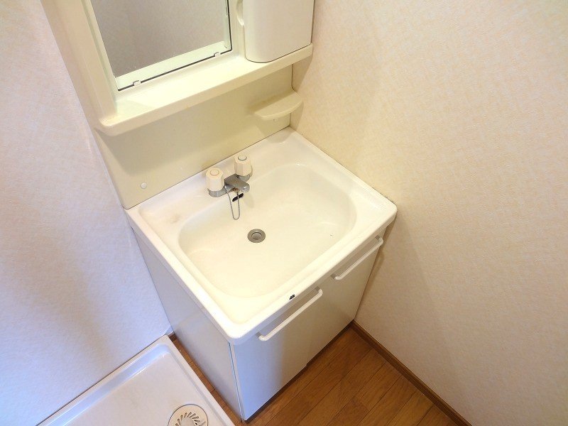 拡大写真:箕面市瀬川5丁目 2階201の洗面