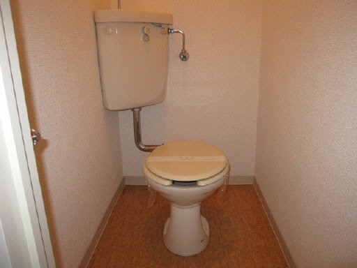 拡大写真:上越市加賀町 1階101のトイレ
