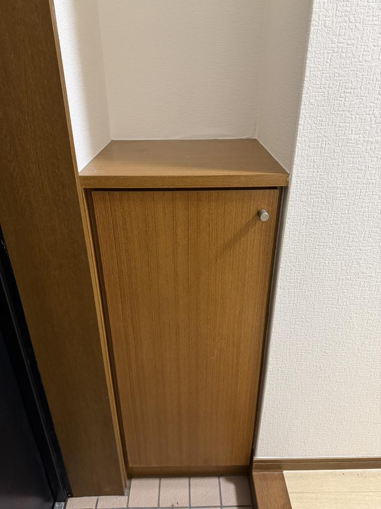 拡大写真：CITY.PRIDE丸之内 3階311の収納