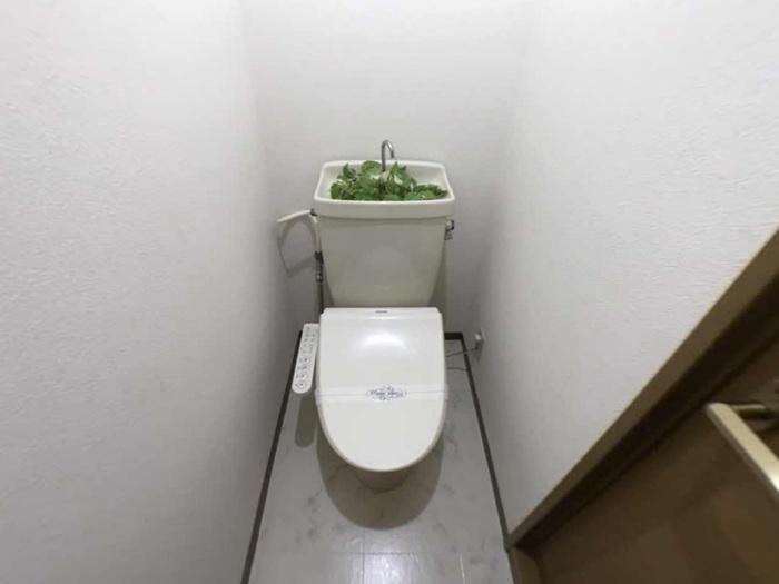 拡大写真:徳島市幟町2丁目 2階102のトイレ